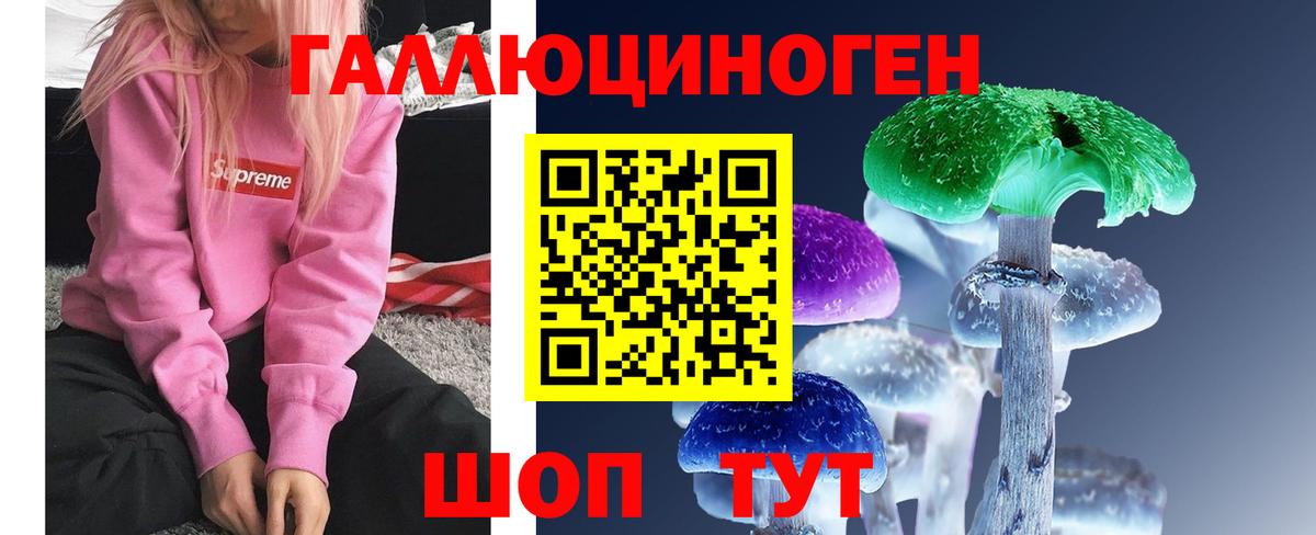 Псилоцибиновые грибы мицелий Омск
